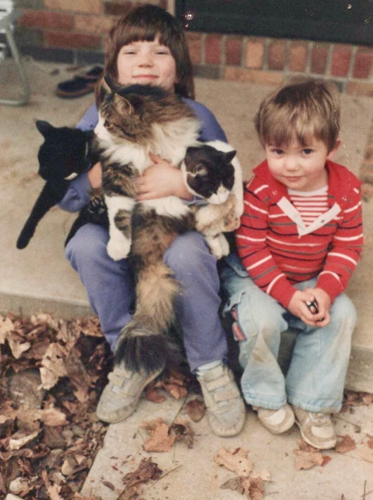 Erin as a child with as many cats in her arms as possible