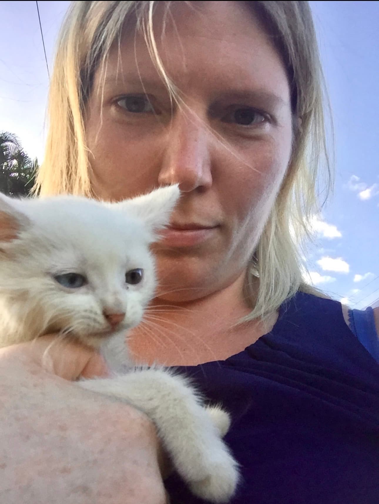 The first rescue kitten that inspired the creation of Volcano Cat Sanctuary