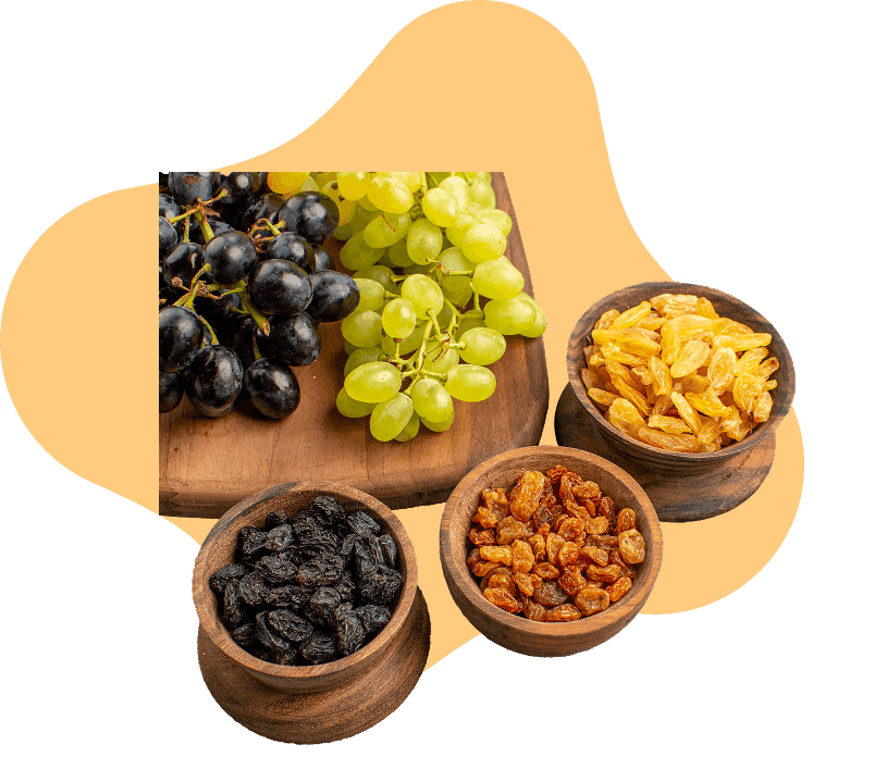 Image of [object Object]