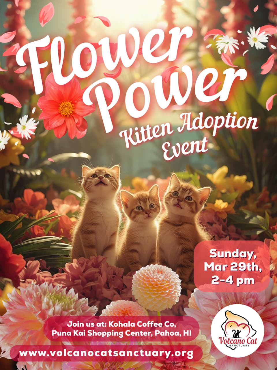 March Kitten Adoption Event!