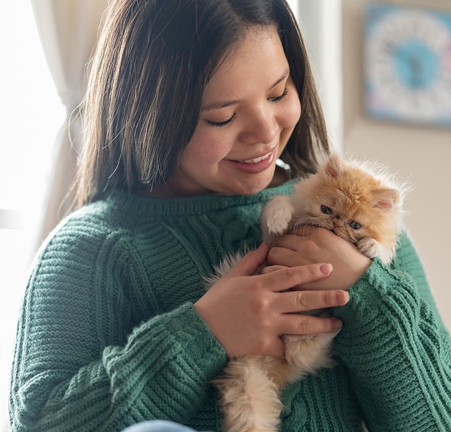Cat introduction tips