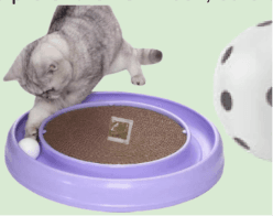 New Cat Checklist