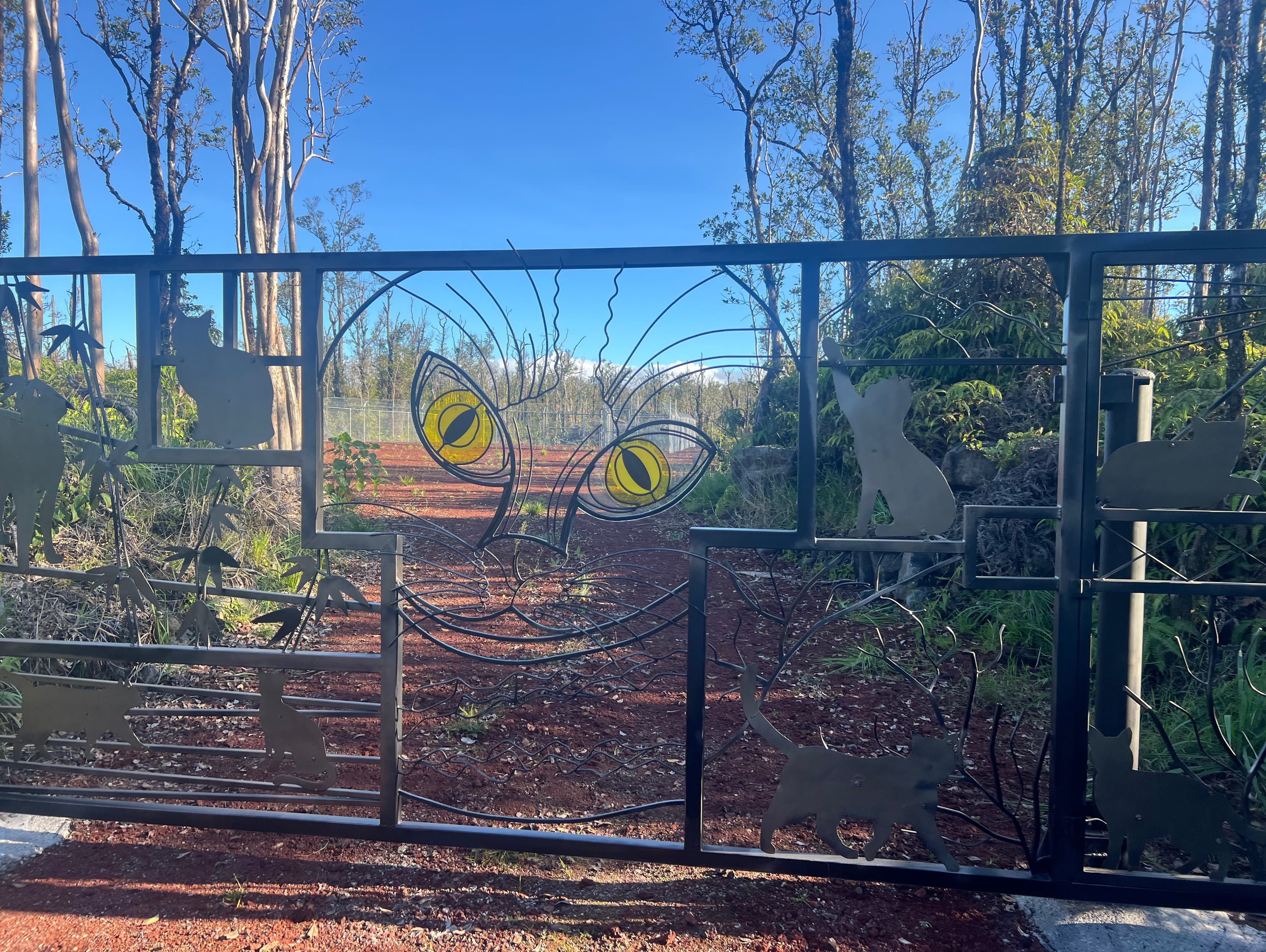 Volcano Cat Sanctuary Gate