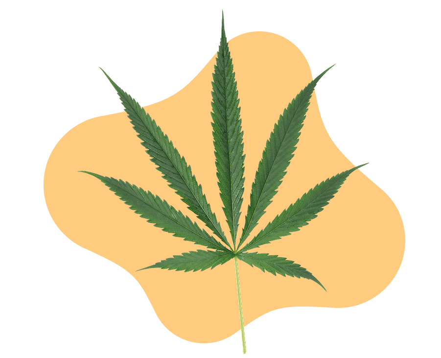 Image of [object Object]