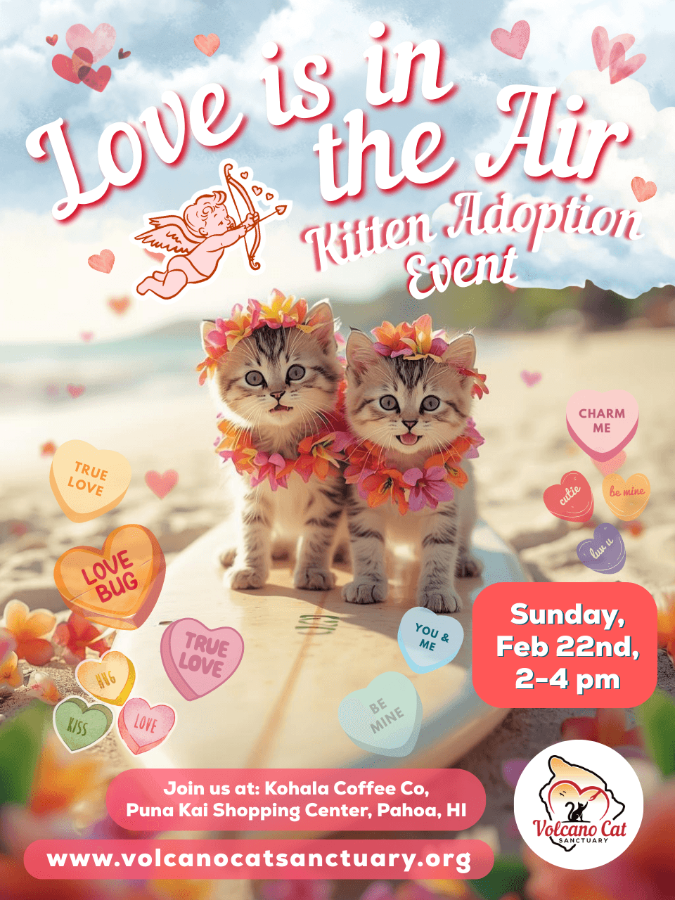 February Kitten Adoption Event!