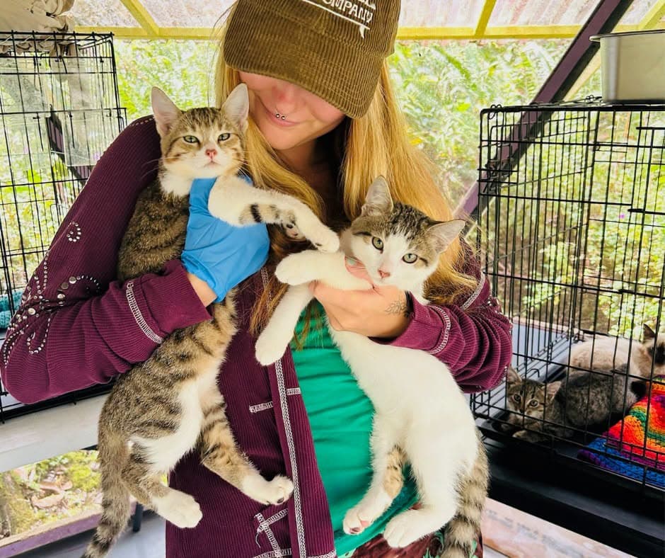 Volunteers at a Volcano Cat Sanctuary appreciation event