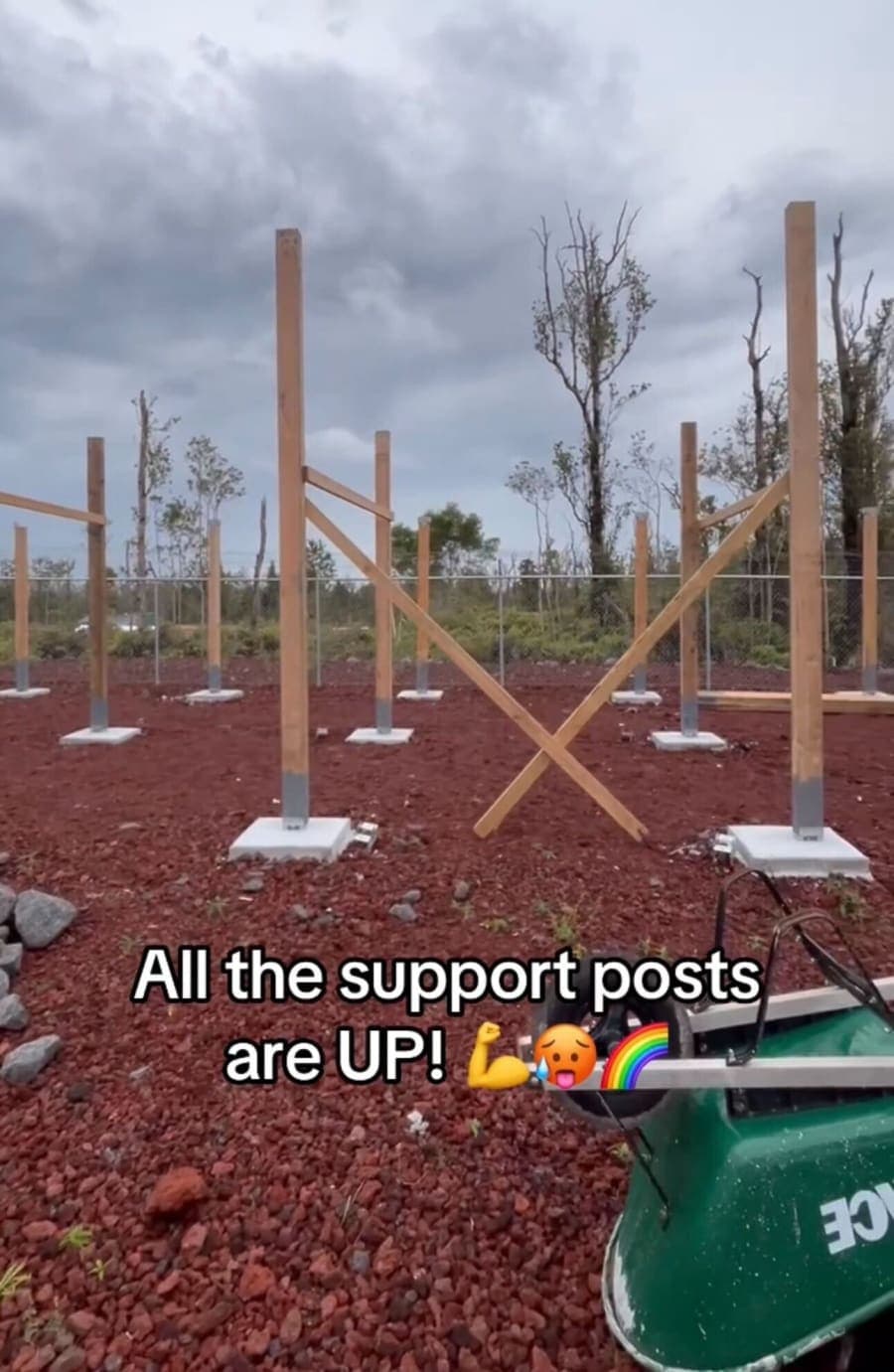 Posts Are UP!