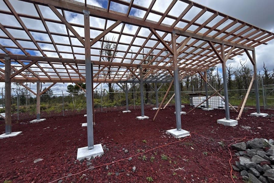 The rafters AND purlins are done!